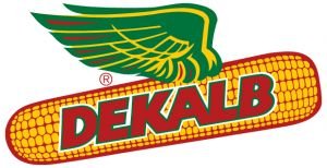 DEKALB no tag